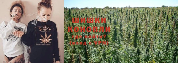 шишки Белая Калитва