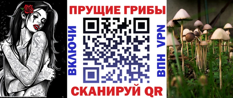 где продают наркотики Голицыно Псилоцибиновые грибы GOLDEN TEACHER